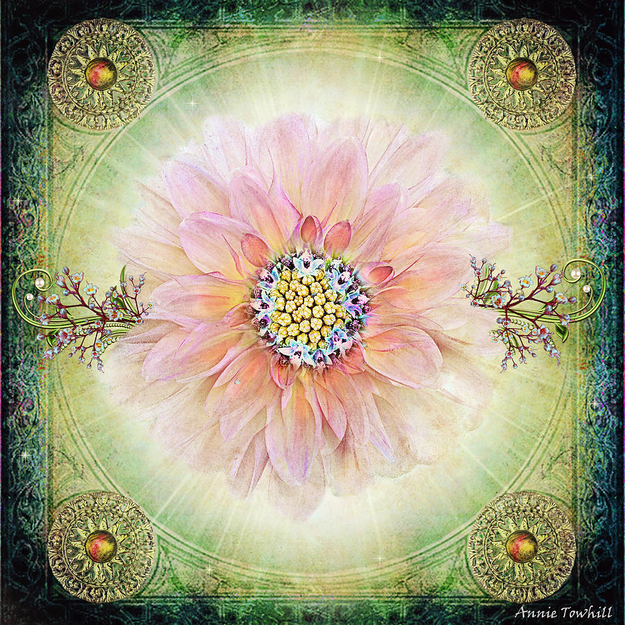 Heaven's Flower Photograph by Annie Towhill Pixels