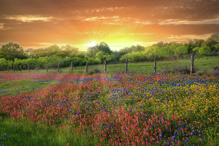 Heavens Light in the Hill Country Photograph by Lynn Bauer