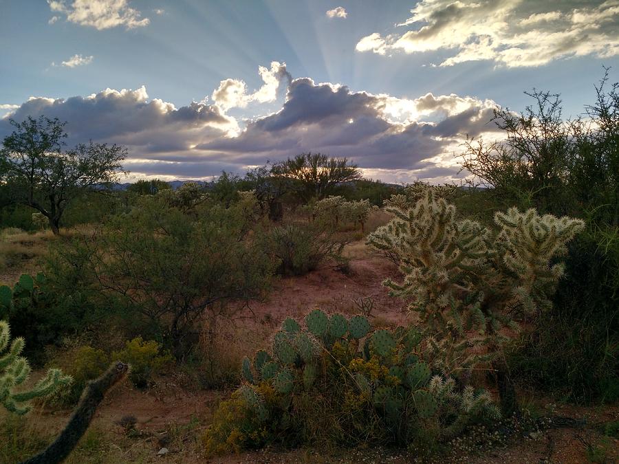 Desert Sunset Photograph - Heavens Light by Mike Wells