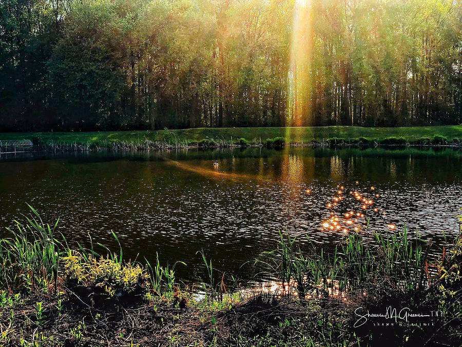 Heavens Light on the Pond Photograph by Shawn M Greener