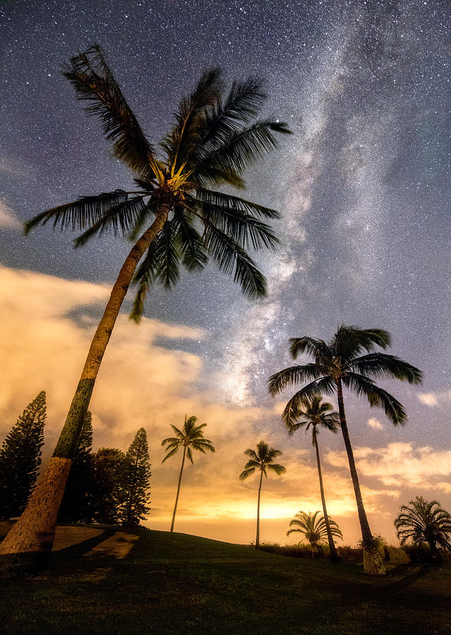 Heavens Palms Photograph by Micah Roemmling