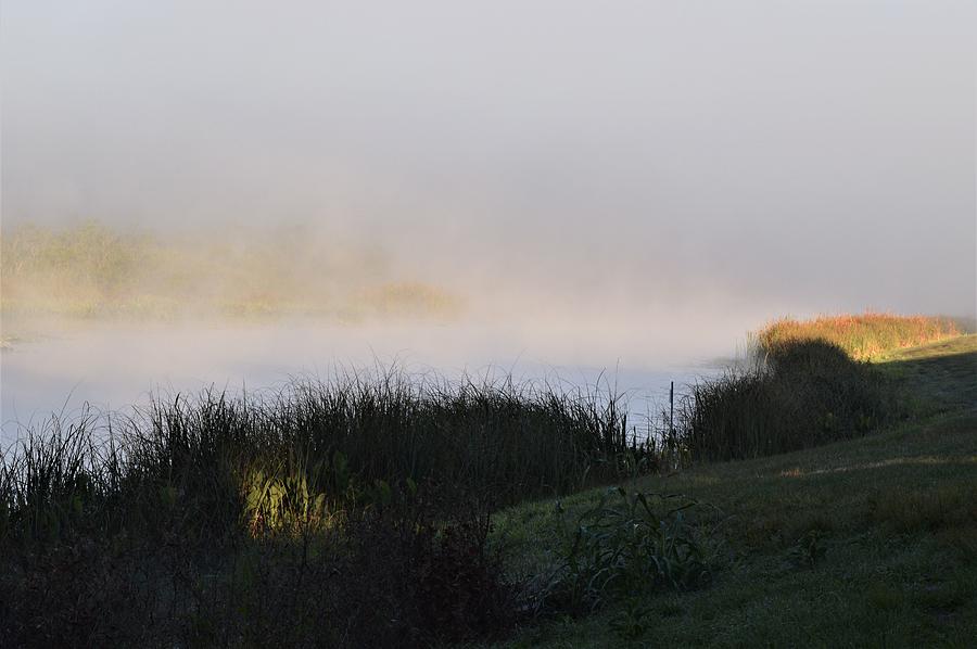 Heavy Fog in Early Light Photograph by Warren Thompson