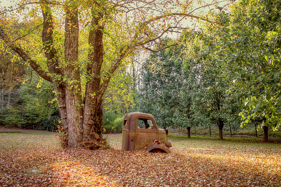 Heavy Load Photograph by Lorraine Baum