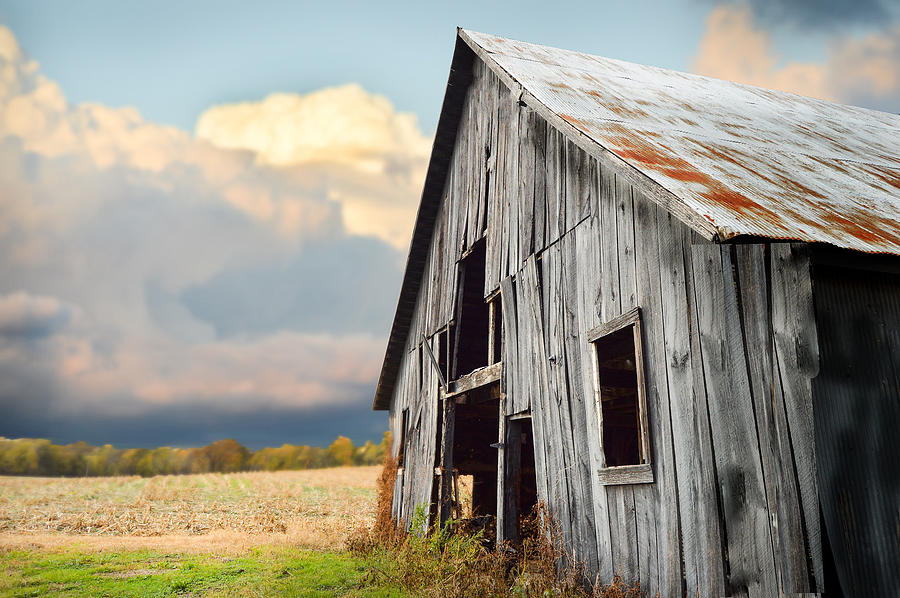 Hebbardsville Barn Photograph by Michael Shields - Fine Art America