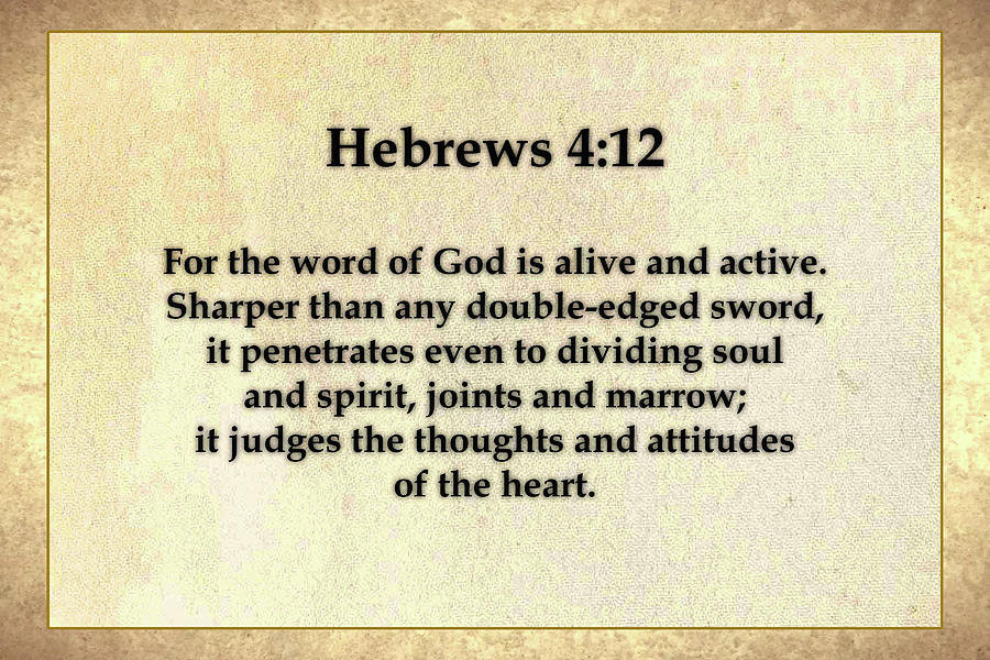 hebrews-4-and-12-drawing-by-sherman-rivers-pixels