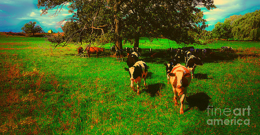 Hebron Il Cows Pasture Photograph by Tom Jelen