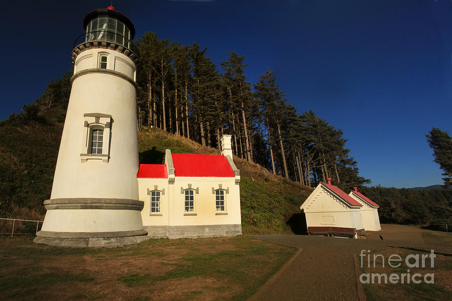Lighthouse Photograph - Heceta Head Ligthouse, Oregon  Oct 4, 2015       Hecera Head Ligth by Monterey County Historical Society