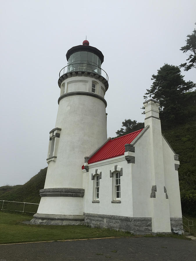 Heceta Head Light Photograph by Mark Beecher - Fine Art America