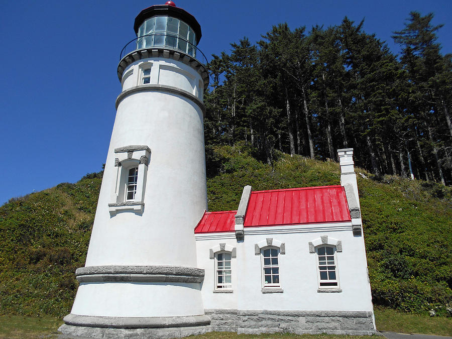 Heceta Head Lighthouse Photograph by Aaron Beaty - Fine Art America