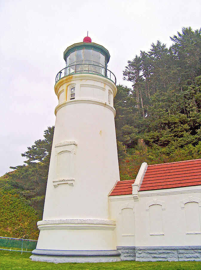 Heceta Head Lighthouse in Hecata HeadState Park, Oregon Photograph by Ruth Hager