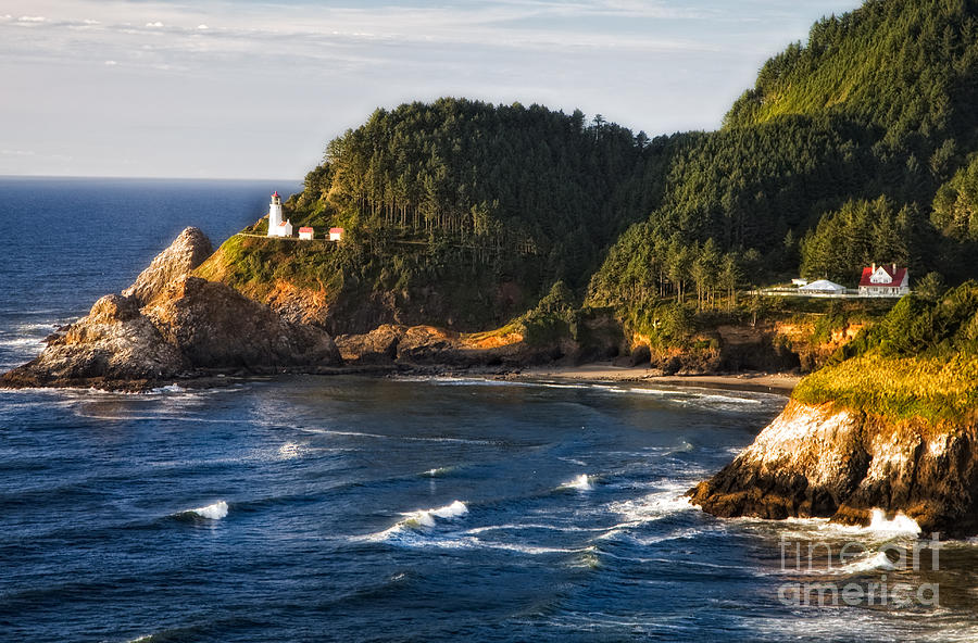 Heceta Head Lighthouse Oregon Photograph by Timothy Hacker