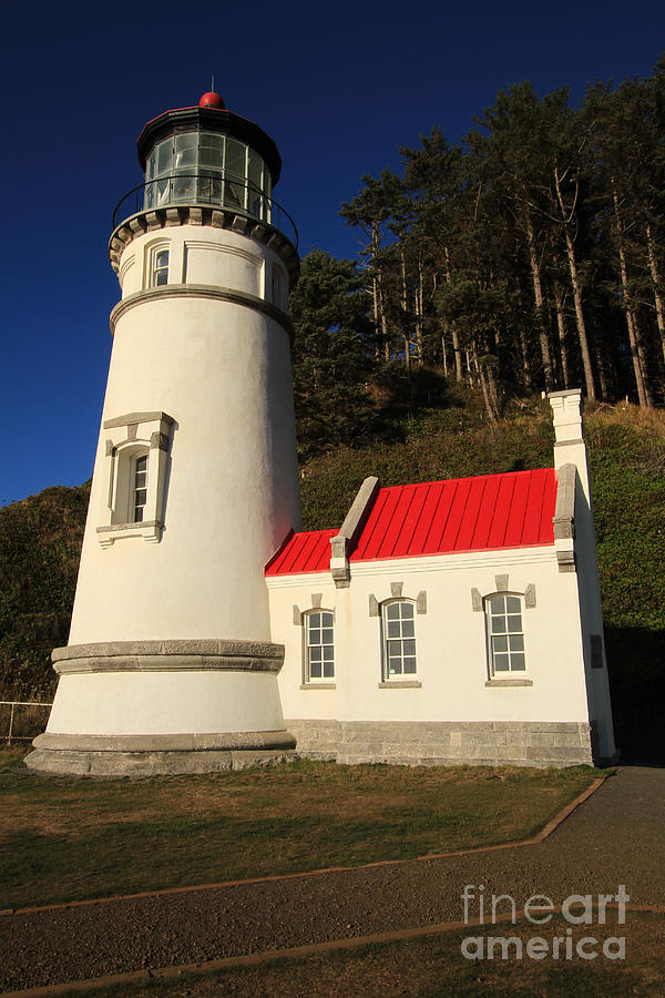 Heceta Head Photograph - Heceta Lighthouse, Devils Elbow, Oregon by Monterey County Historical Society