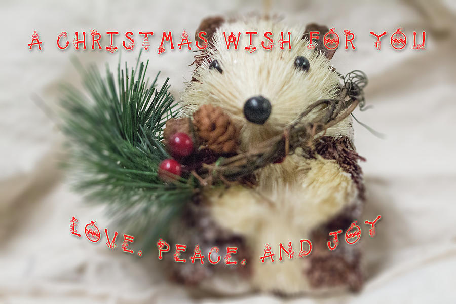 Hedgehog Christmas Wish Greeting Card Photograph