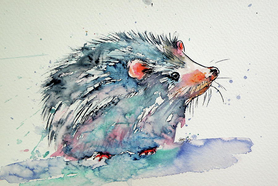 Hedgehog Painting by Kovacs Anna Brigitta