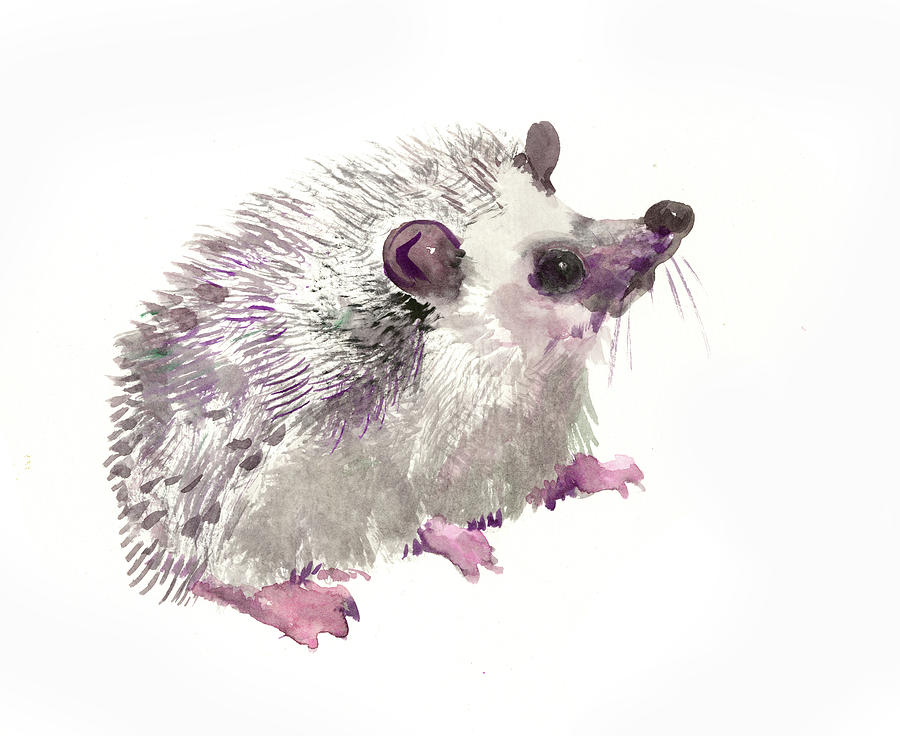 Hedgehog Painting by Suren Nersisyan