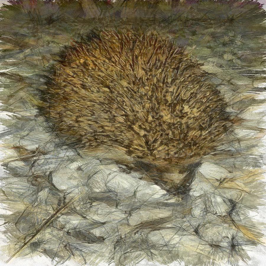 Animal Painting - Hedgehog by Taiche Acrylic Art