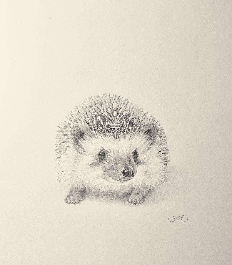 Cute Hedgehog Drawing Sketch with simple drawing