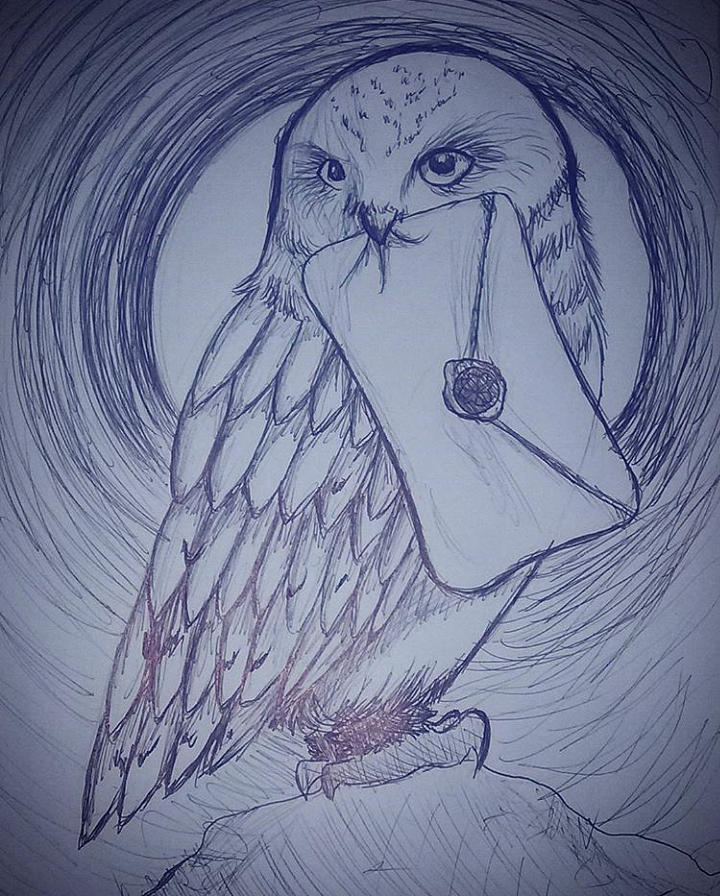 Hedwig Drawing By Alyssa Holloway I'm a huge harry potter fan and on top of that i love birds as well. hedwig by alyssa holloway