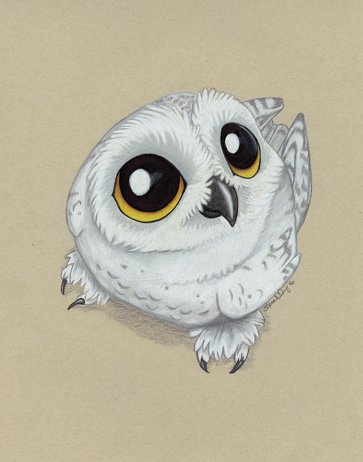 Harry Potter Hedwig Zeichnen Leicht The Hedwig S Them - vrogue.co