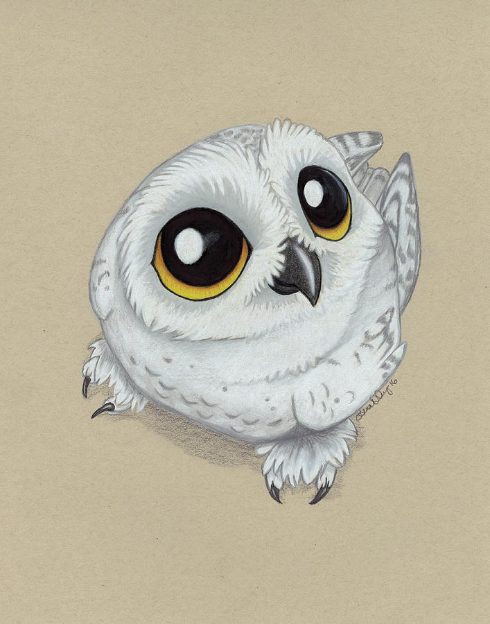 Hedwig Drawing By Lena Degregory Harry got her name from the book a history of magic (by bathilda bagshot). hedwig by lena degregory