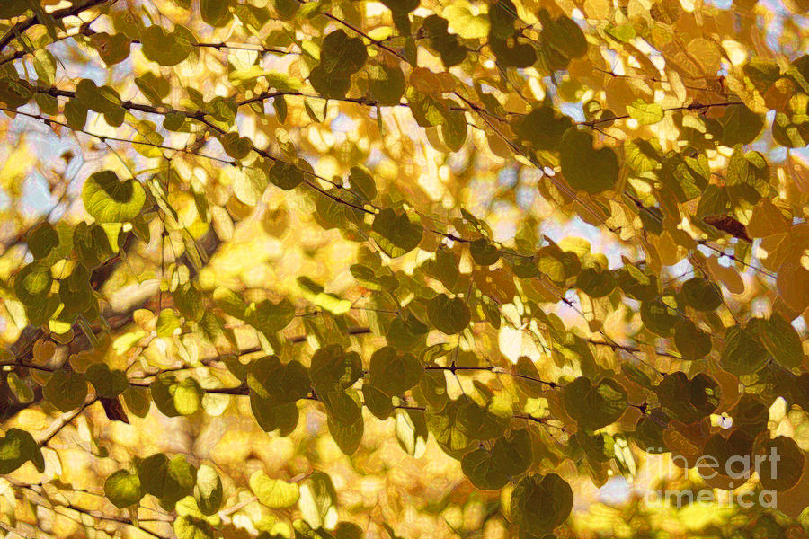 Heian Leaves Photograph by Cassandra Buckley