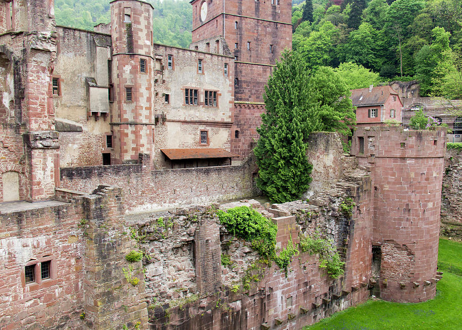 Heidelberg Castle Prison Tower Ruins Photograph by Teresa Mucha