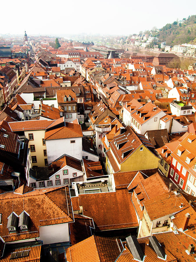 Heidelberg Cityscape Photograph by Steven Myers