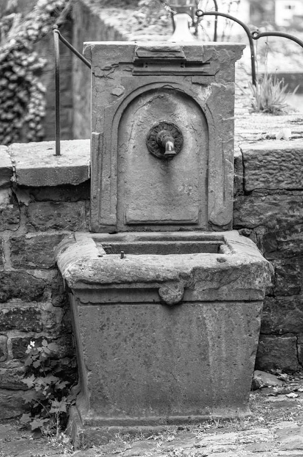 Heidelberg Fountain Photograph by Teresa Mucha