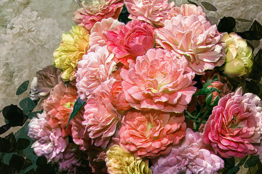 Heirloom Roses Photograph by Mary Almond