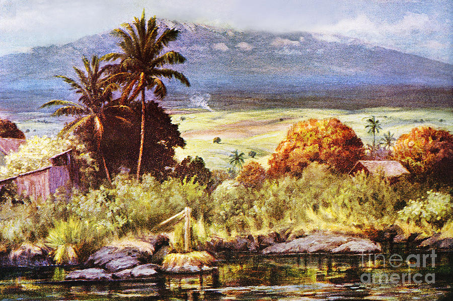 Vintage Painting - Helen Dranga Art by Hawaiian Legacy Archive - Printscapes