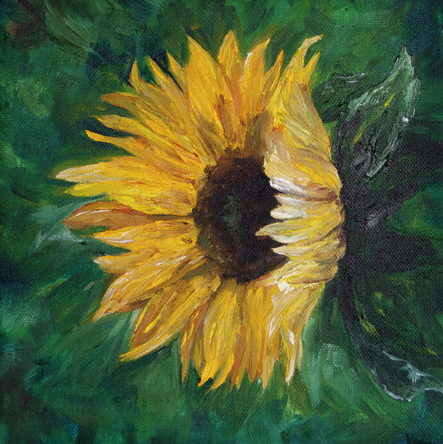 Helianthus by Melinda Cummings Helianthus by Melinda Cummings