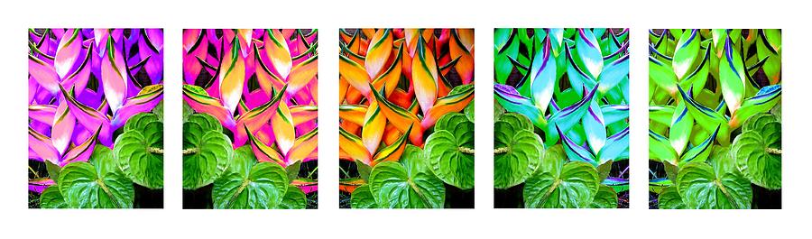 Heliconia Hybrids Painting by Bruce Nutting