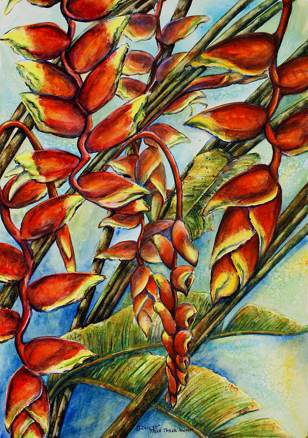Heliconia Lobster Claw Painting by Trish Taylor Ponappa