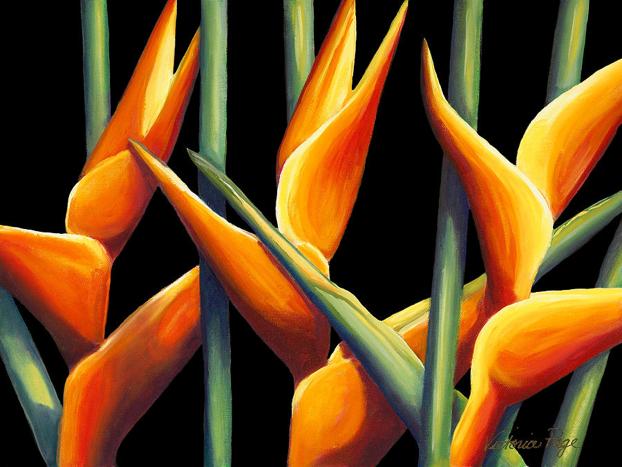 Heliconia Painting by Victoria Page