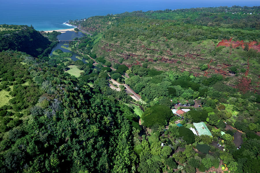 Helicopter overview of waimea Valley on the north shore of Oahu, Photograph by Sean Davey