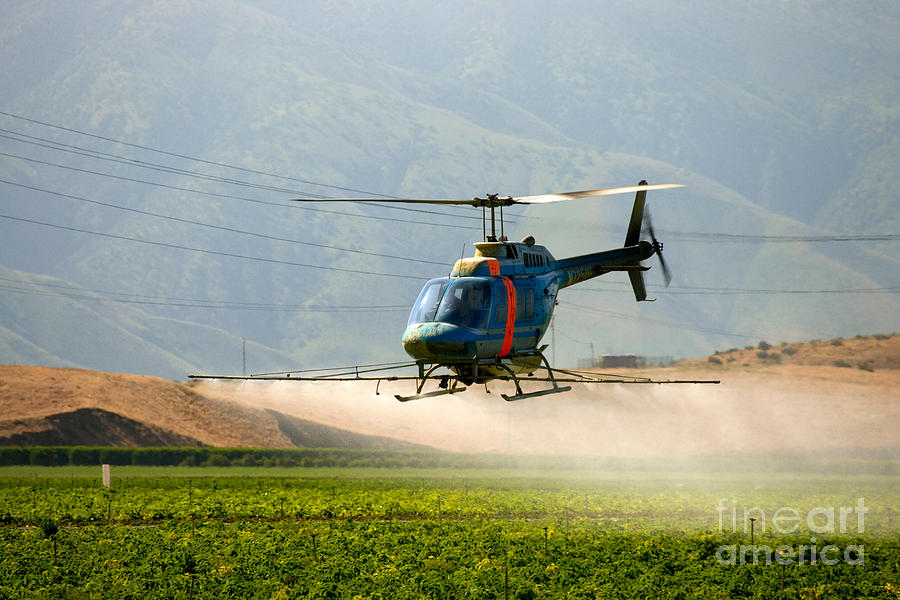 Helicopter Spraying Potatoes Photograph by Inga Spence