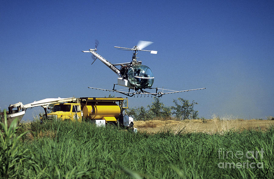 Helicopter Photograph - Helicopter Spraying Rice by Inga Spence