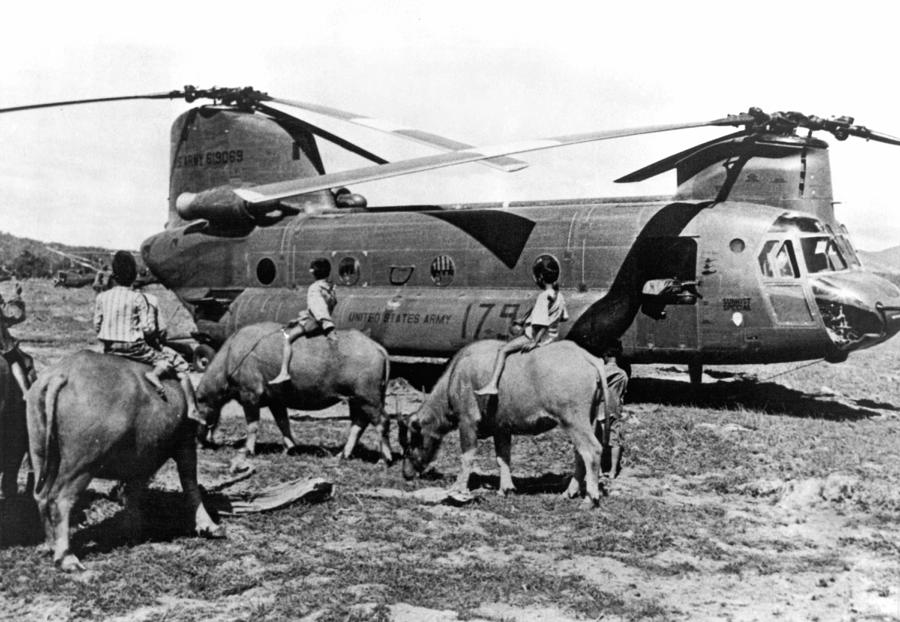 Transportation Photograph - Helicopters And Water Buffalos by Underwood Archives