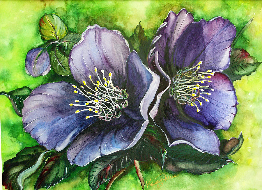 Helleborous Blue Lady Painting by Karin Dawn Kelshall- Best Helleborous Blue Lady Painting by Karin Dawn Kelshall- Best