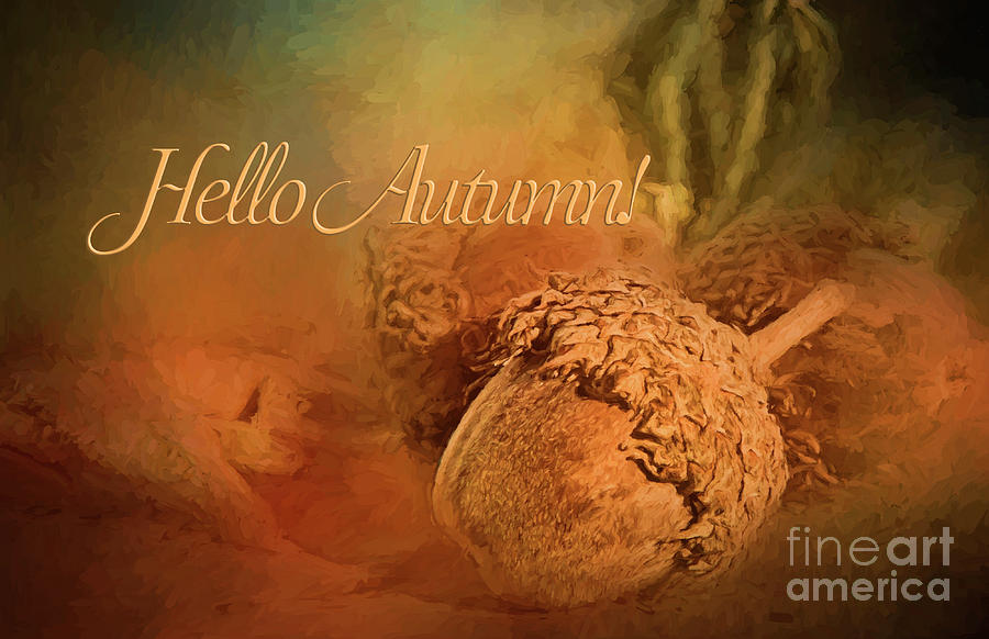 Hello Autumn by Pam Holdsworth Hello Autumn by Pam Holdsworth