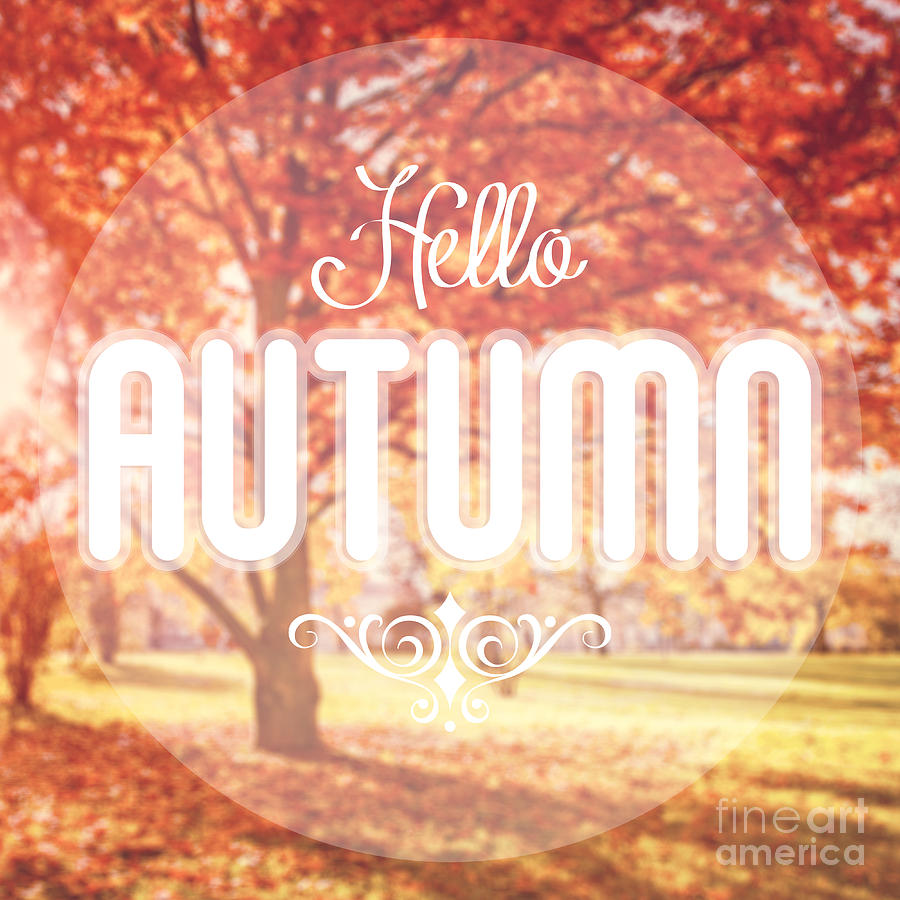 Hello Autumn Photograph by Sophie McAulay