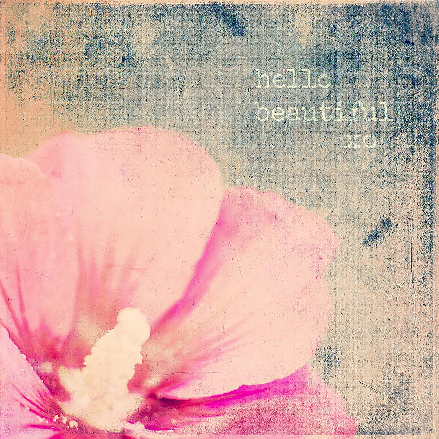 Flowers Still Life Digital Art - Hello Beautiful by Brandi Fitzgerald