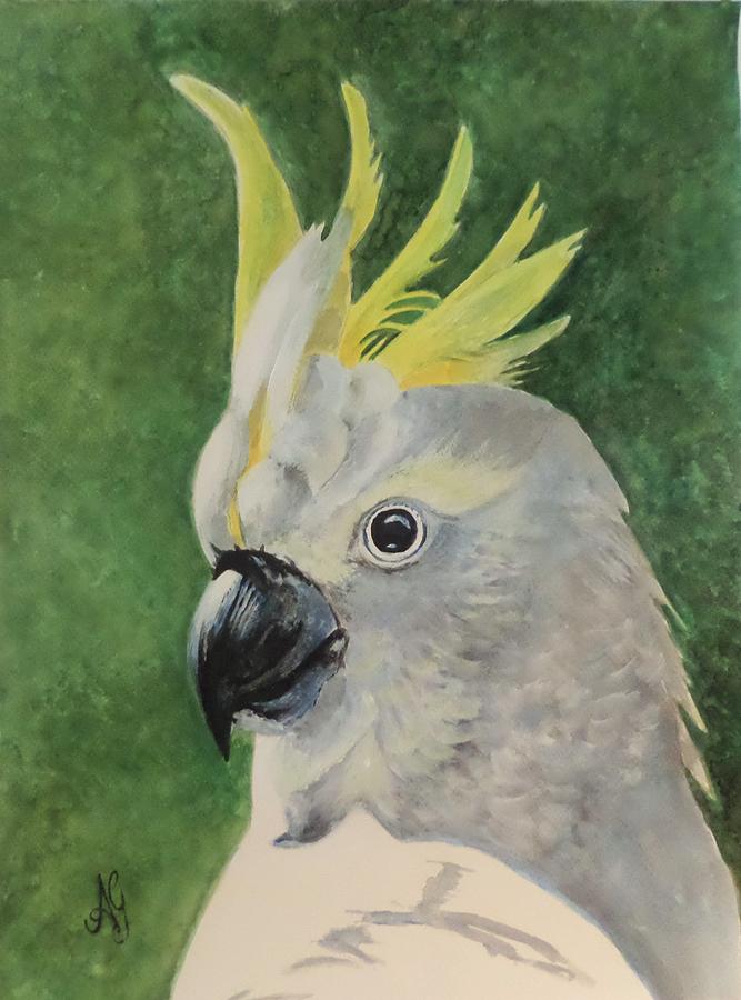 Sulphur crested cockatoo #2 Painting by Anne Gardner