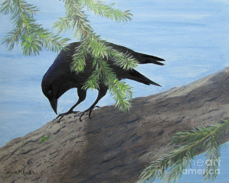 Crow Painting - Hello Crow by Janice M Booth