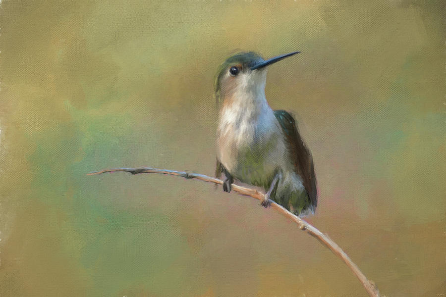 Hello Little Friend Hummingbird Painting Painting by Jai Johnson