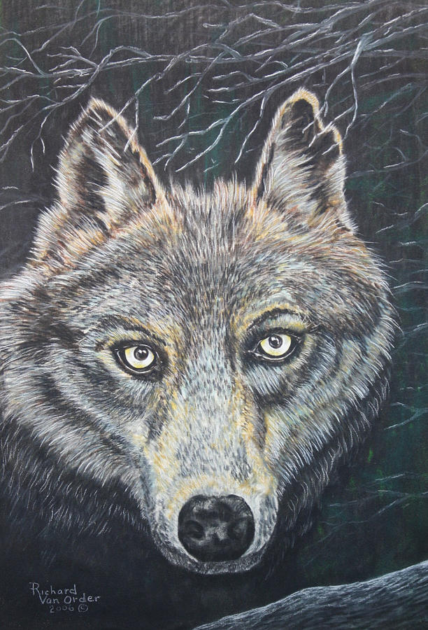 Hello Mr Wolf Pastel by Richard Van Order