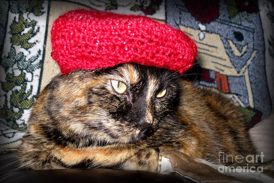 Hello Pearl 31. CAT with a red beret Painting by Oksana Semenchenko