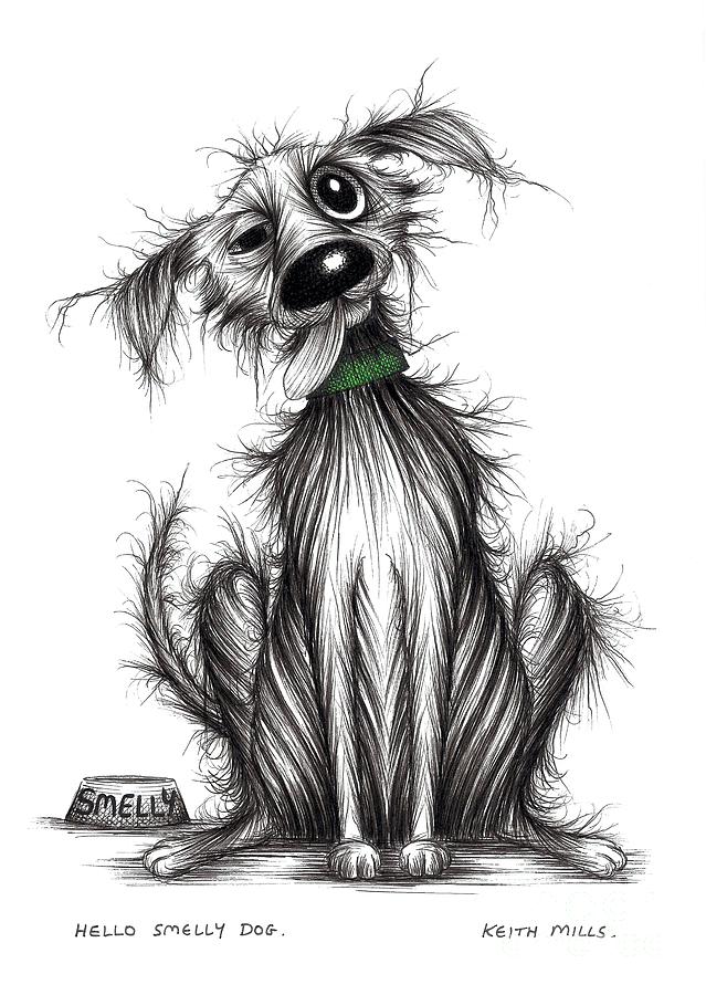Hello Smelly dog Drawing by Keith Mills