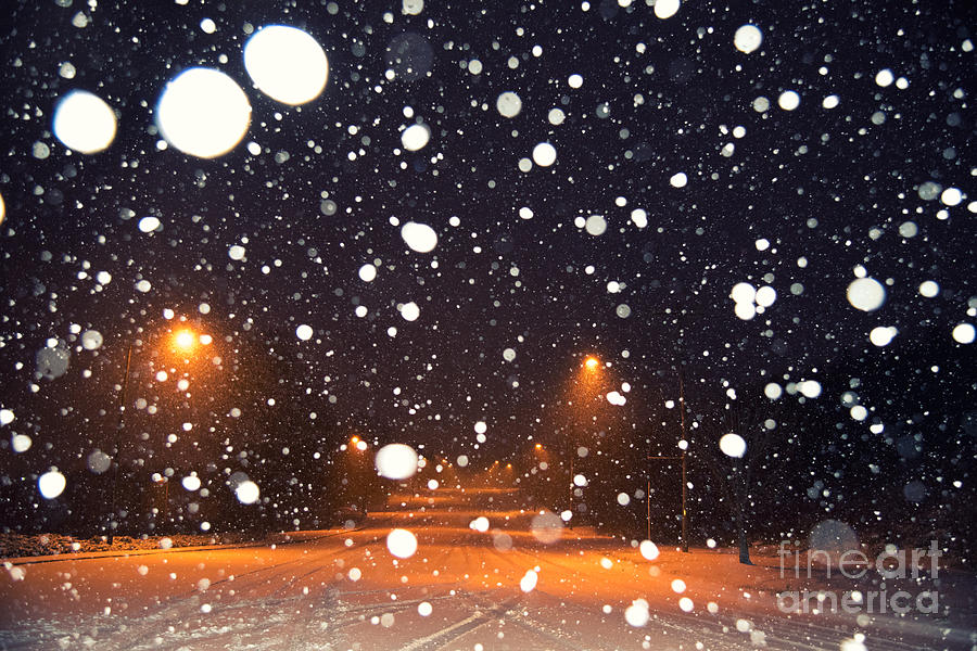 Hello Snow Photograph by Robert Loe