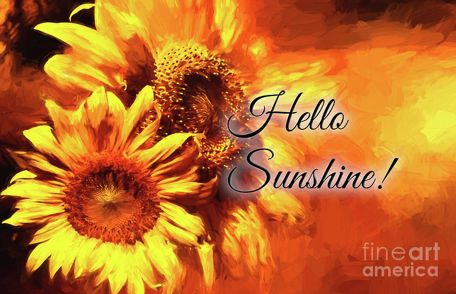 Hello Sunshine by Pam Holdsworth Hello Sunshine by Pam Holdsworth